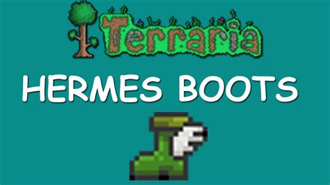 hermes boots terraira